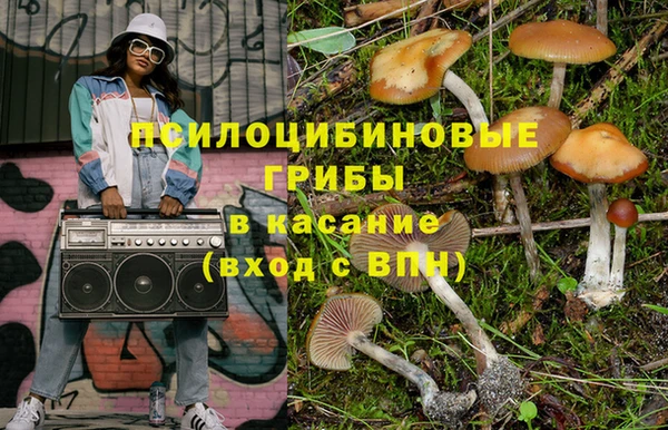 шишки Сатка