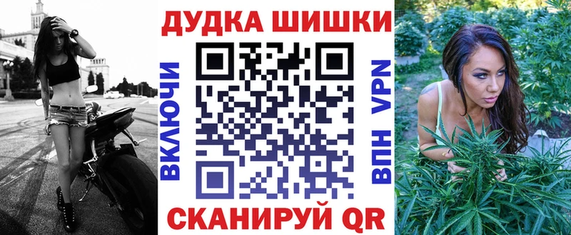 где купить Краснознаменск Каннабис планчик